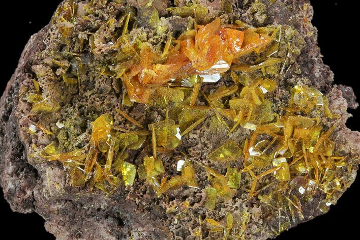 Orange Wulfenite Crystal Cluster - Rowley Mine, Arizona #118959